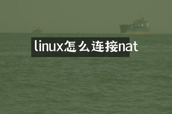 linux怎么连接nat