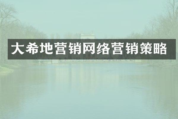 大希地营销网络营销策略