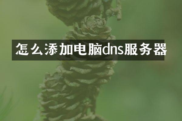 怎么添加电脑dns服务器