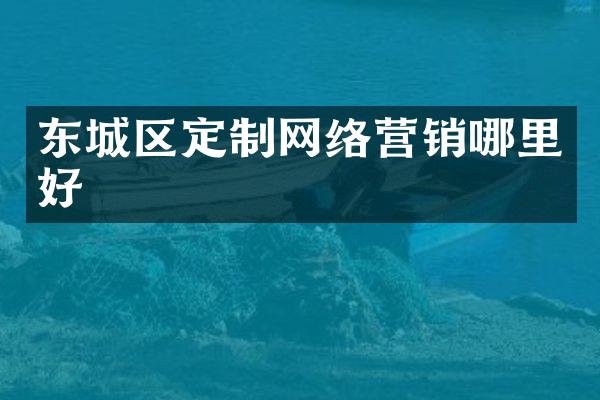 东城区定制网络营销哪里好