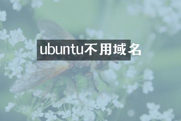 ubuntu不用域名