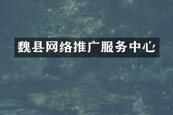 魏县网络推广服务中心
