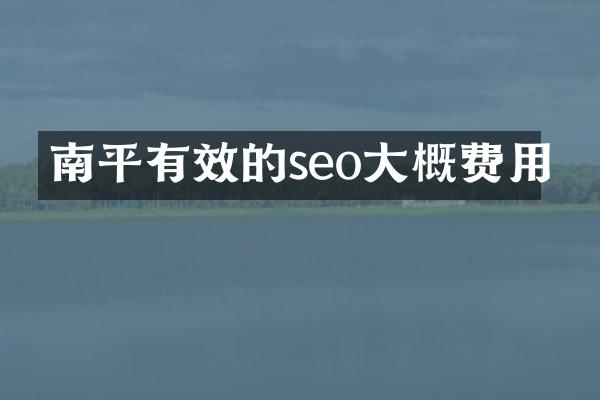 南平有效的seo大概费用