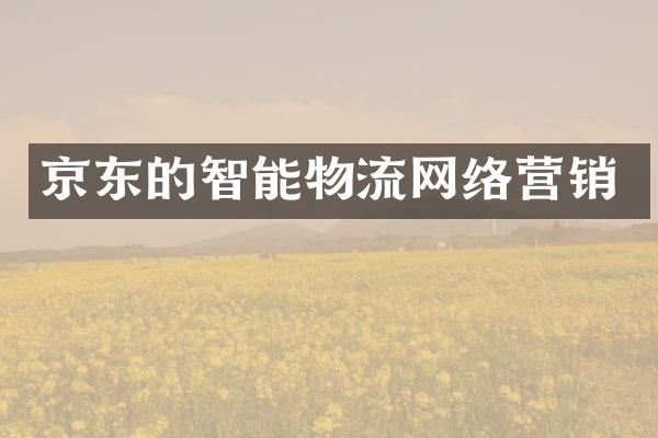 京东的智能物流网络营销