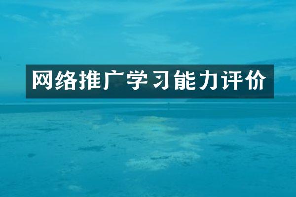 网络推广学习能力评价