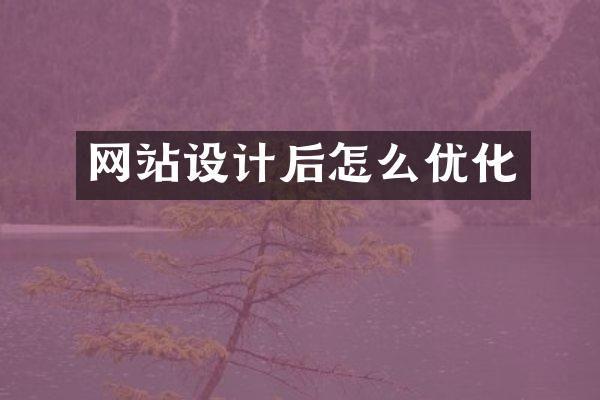 网站设计后怎么优化