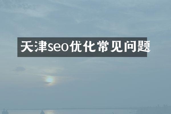 天津seo优化常见问题