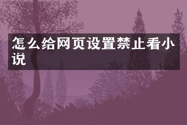 怎么给网页设置禁止看小说