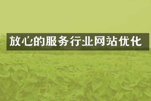 放心的服务行业网站优化