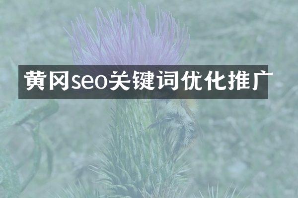 黄冈seo关键词优化推广