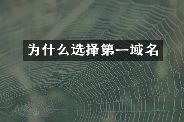 为什么选择第一域名