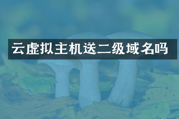 云虚拟主机送二级域名吗