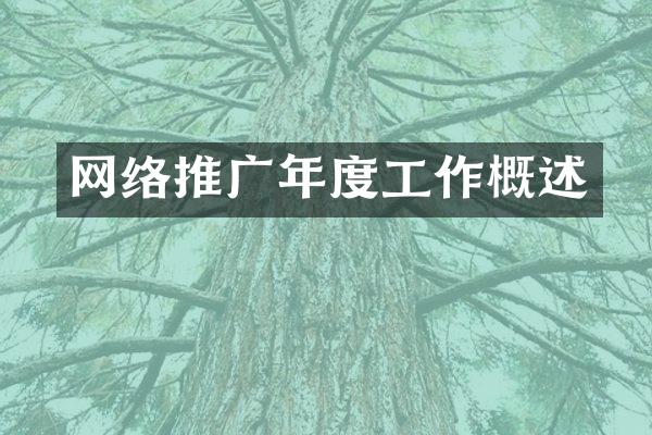 网络推广年度工作概述