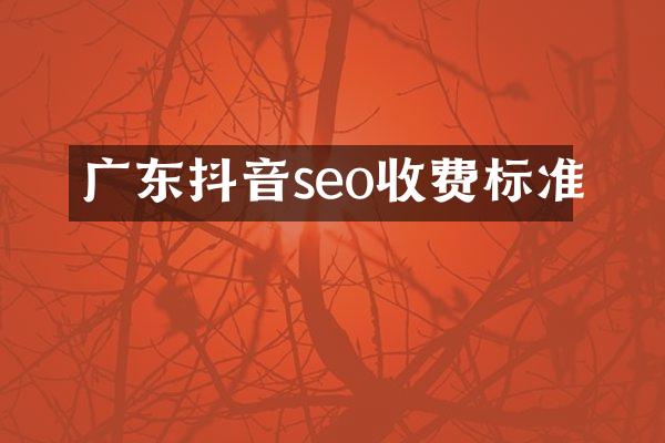 广东抖音seo收费标准