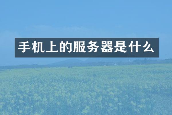 手机上的服务器是什么