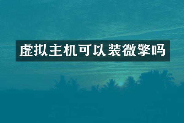 虚拟主机可以装微擎吗
