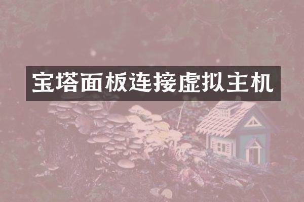 宝塔面板连接虚拟主机