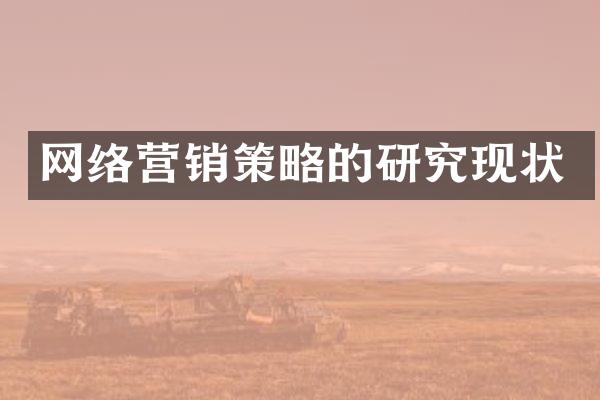 网络营销策略的研究现状
