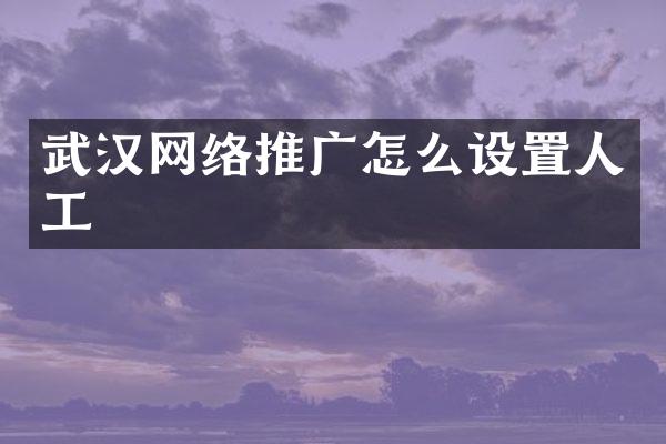 武汉网络推广怎么设置人工