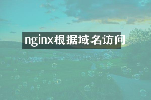 nginx根据域名访问