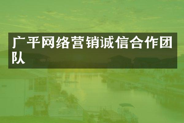 广平网络营销诚信合作团队