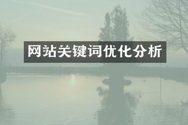网站关键词优化分析