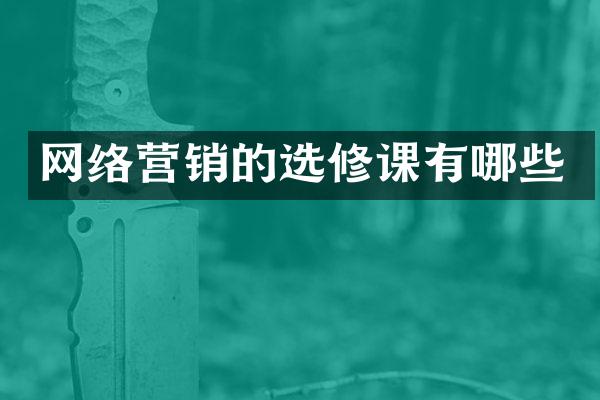 网络营销的选修课有哪些