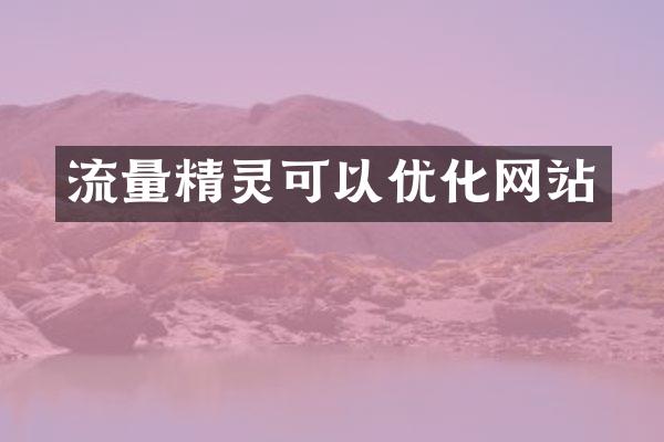 流量精灵可以优化网站