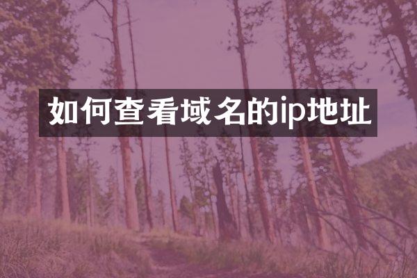 如何查看域名的ip地址