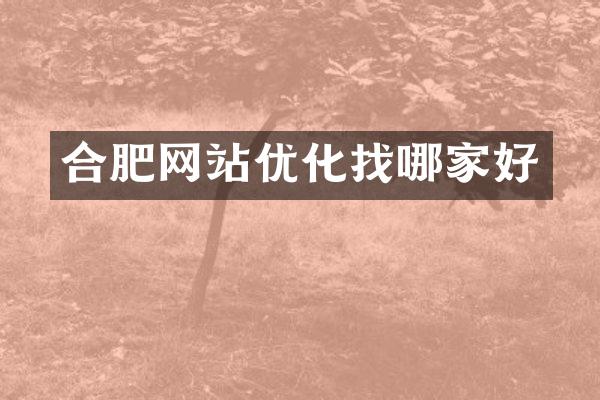 合肥网站优化找哪家好