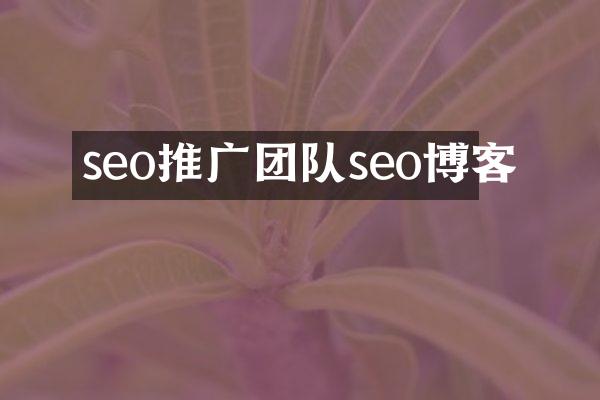 seo推广团队seo博客