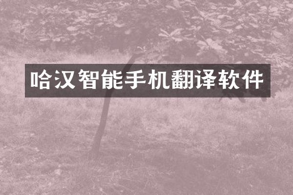 哈汉智能手机翻译软件