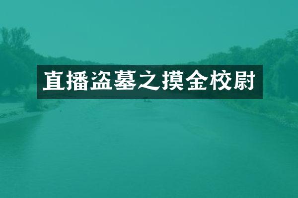 直播盗墓之摸金校尉