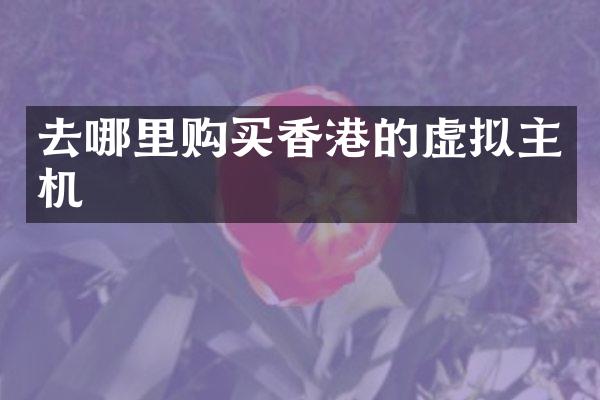去哪里购买香港的虚拟主机