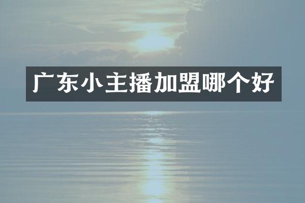 广东小主播加盟哪个好