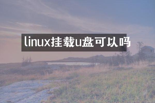 linux挂载u盘可以吗