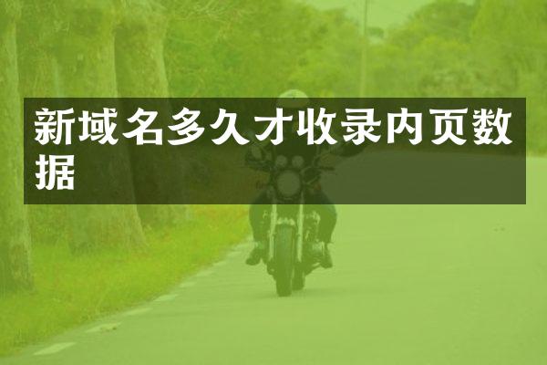新域名多久才收录内页数据