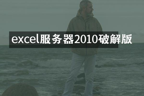 excel服务器2010破解版