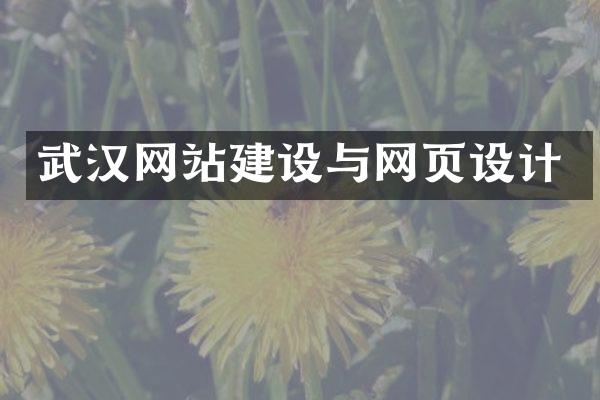武汉网站建设与网页设计