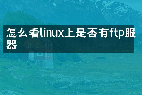 怎么看linux上是否有ftp服务器