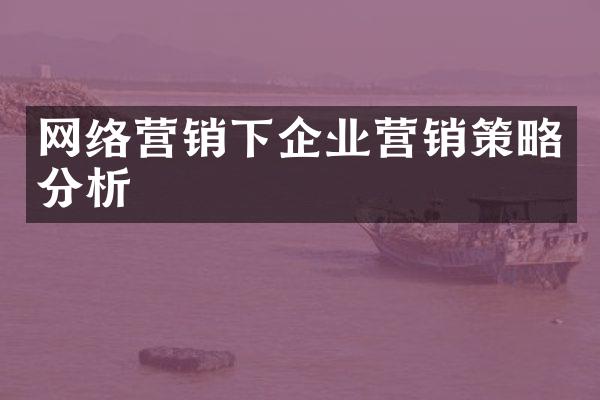 网络营销下企业营销策略分析