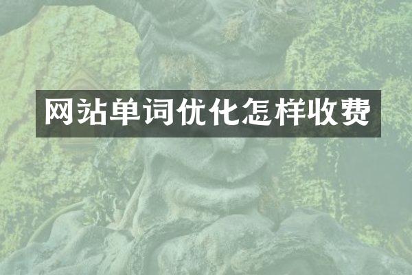 网站单词优化怎样收费