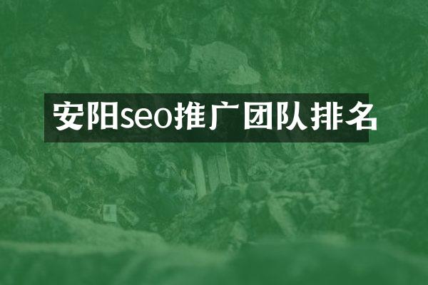 安阳seo推广团队排名