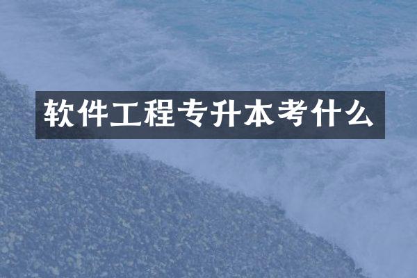 软件工程专升本考什么