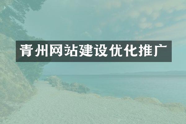 青州网站建设优化推广