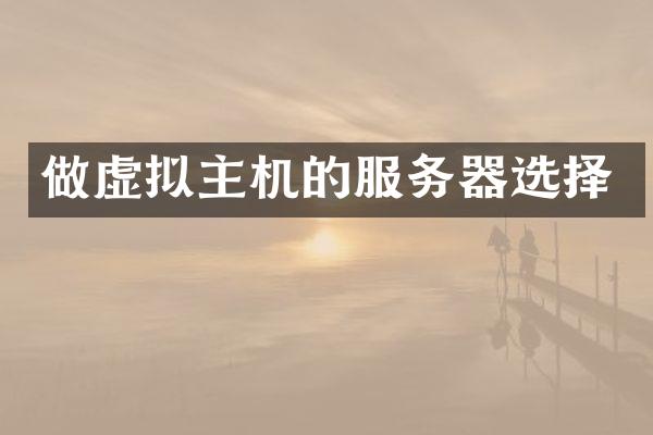 做虚拟主机的服务器选择