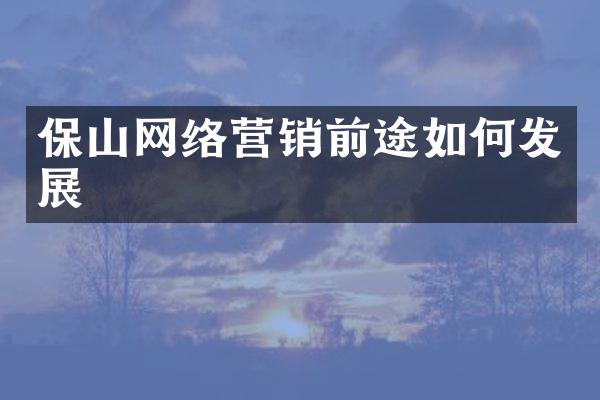 保山网络营销前途如何发展