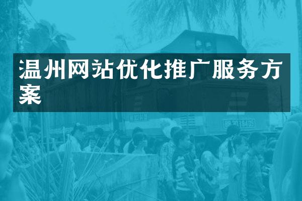 温州网站优化推广服务方案