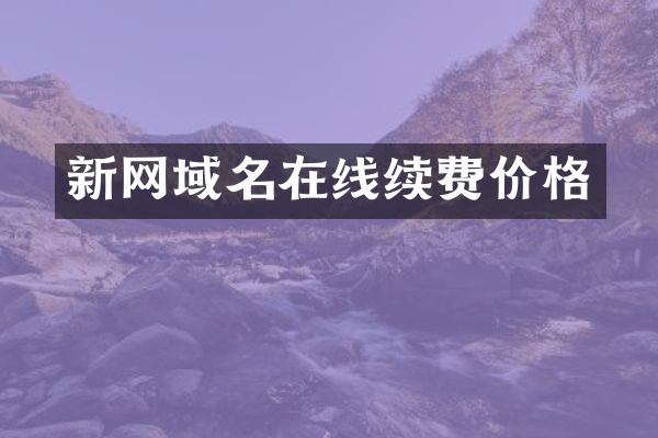 新网域名在线续费价格