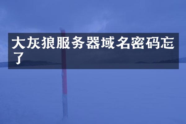 大灰狼服务器域名密码忘了